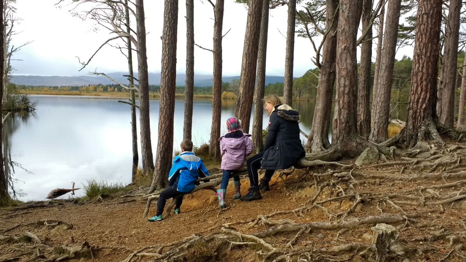 Loch Garten